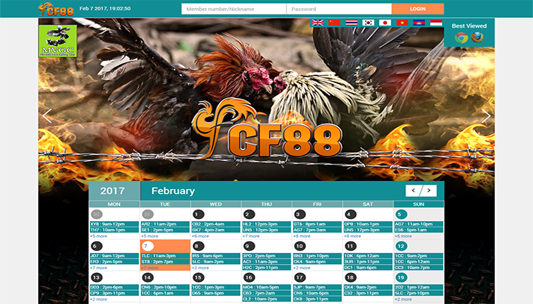 tampilan halaman depan Sabung Ayam Online Cf88