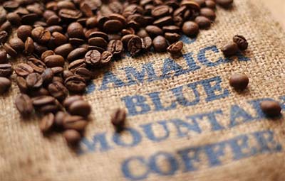 Jamaica Blue Mountain, biji kopi, kopi, coffee, berita unik